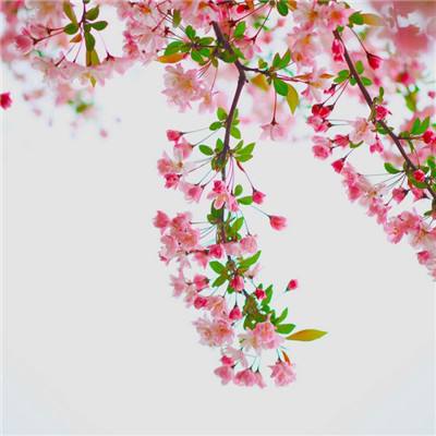 孤岛大逃杀手机版(暂未上线)v1.0.1 安卓版